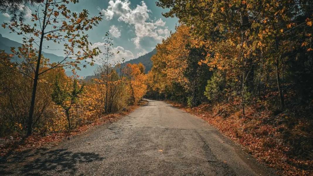 Adana’da Sonbahar Büyüsü: Kartpostalları Aratmayan Görüntüler! 5